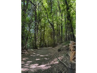 Waldspaziergang Brezzo di Bedero