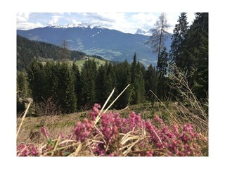 Appartamento per vacanze Klausen (Südtirol) Ambiente 26