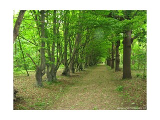 Appartamento per vacanze Domburg Ambiente 18