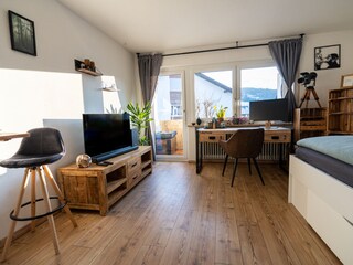 Wohn- und Schlafzimmer
