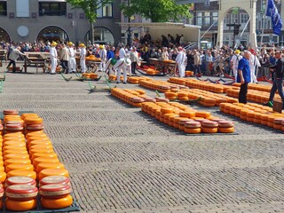 Casa per le vacanze Julianadorp Ambiente 34