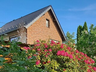 Haus im Sommer - Blumenpracht