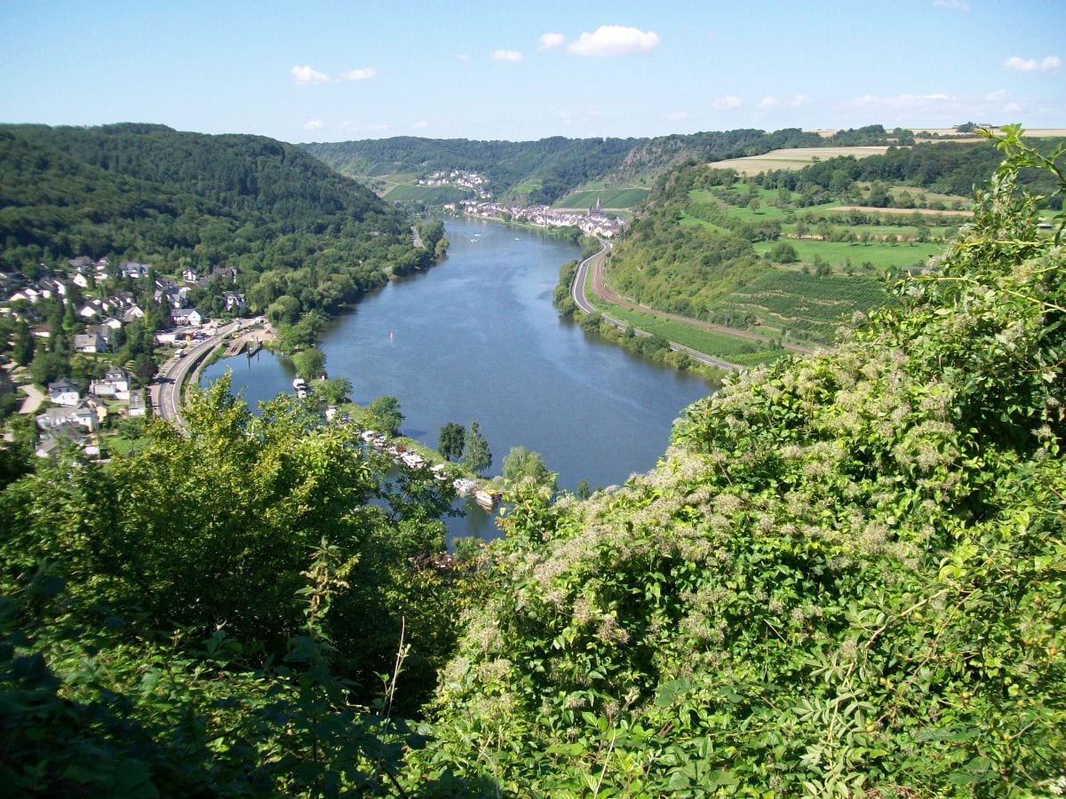 Blick auf das Moseltal