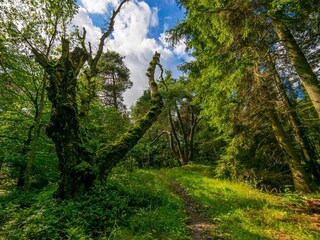 Vakantiepark Balka Strand  6