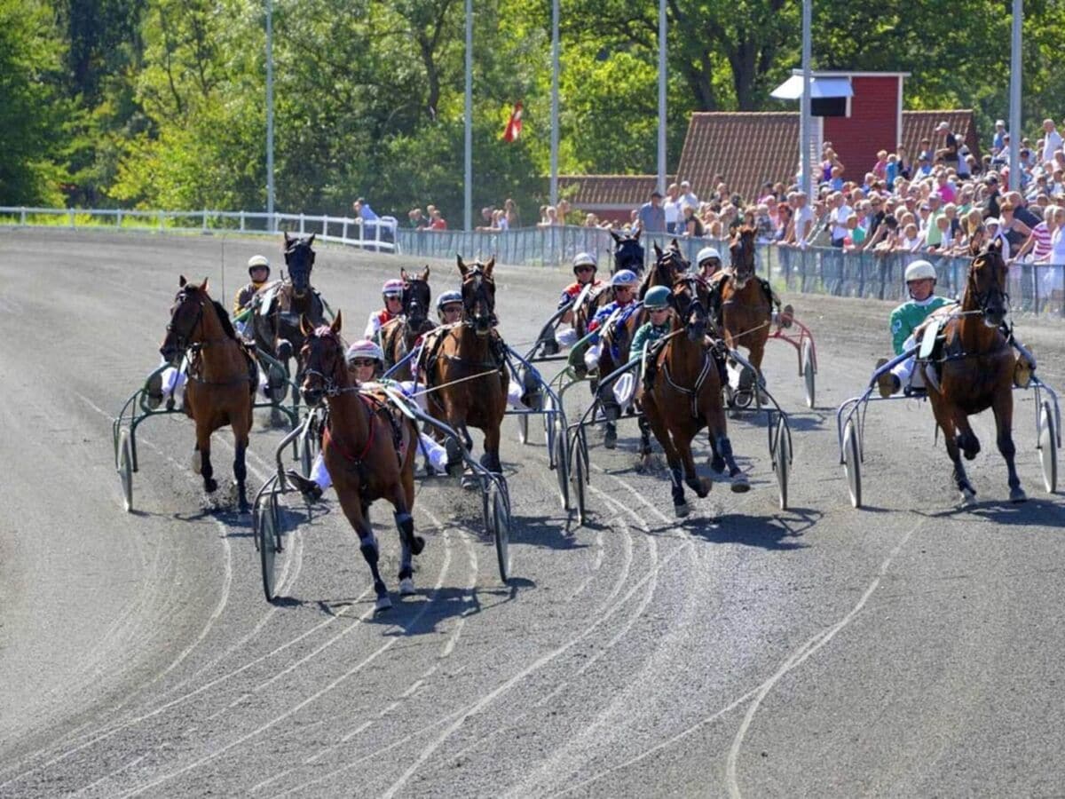 Ferienpark Aakirkeby  24