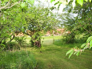 Holiday park Svaneke  25