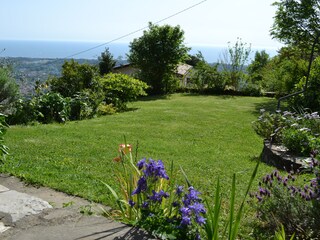 Casa per le vacanze Montignoso Registrazione all'aperto 5