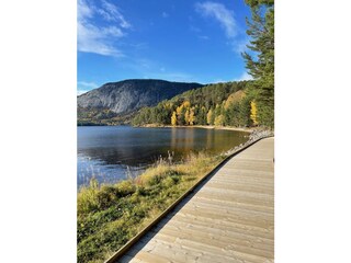 Maison de vacances Vrådal Environnement 37