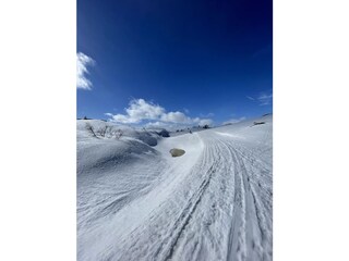 Fantastic cross country and alpin skiing