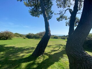 Vakantiehuis Saint-Jean-de-la-Rivière Omgeving 15