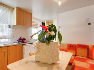 Vakantiepark Cesenatico  29