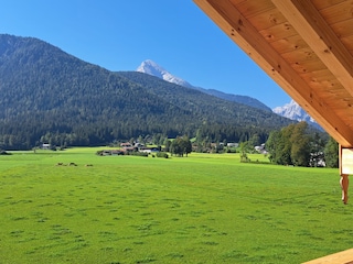 Blick auf Feld, Grünstein und Teil des Watzmann's