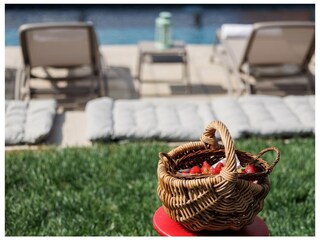 Villa Empoli Registrazione all'aperto 11