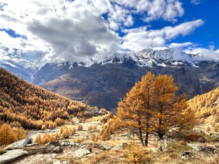Appartamento per vacanze Saas-Grund Ambiente 31