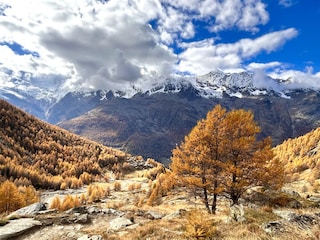 Ferienwohnung Saas-Grund Umgebung 31