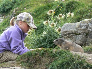 Entdecken Sie die Natur!