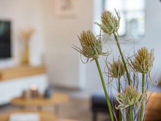 Ferienwohnung Zingst Außenaufnahme 17