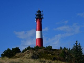 Ferienhaus Prainha Umgebung 15