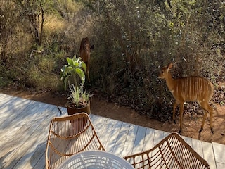 Ferienhaus Welt Außenaufnahme 1