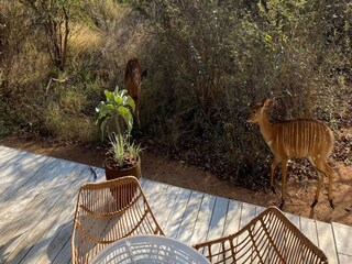 Holiday house Welt Outdoor Recording 1