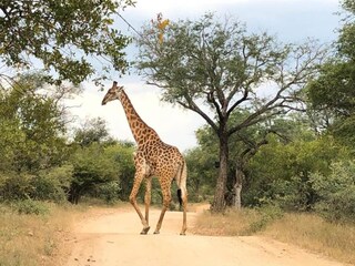 Ferienhaus Welt Umgebung 19