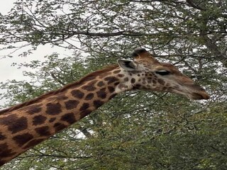 Holiday house Welt Environment 30