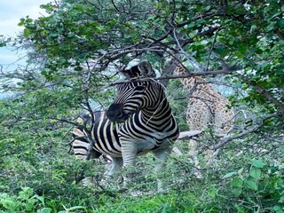 Maison de vacances Welt Environnement 37