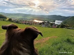 Idyllische Ferienwohnung am Diemelsee /Nahe Willingen - Landkreis Waldeck-Frankenberg (Sauerland) - image1