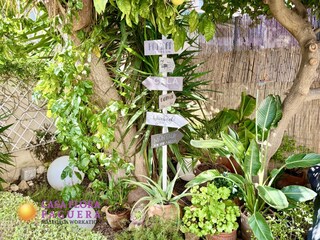 Villa Paguera Omgeving 29