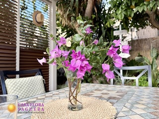 Terrasse mit Pergola