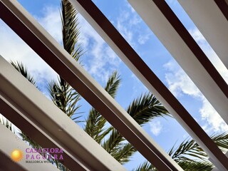 Villa Paguera Environment 30