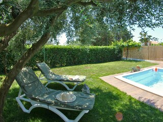 Sun loungers under the olives