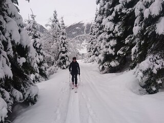 Appartamento per vacanze St. Jakob in Defereggen Ambiente 25