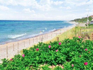 Casa per le vacanze Udsholt Strand  14