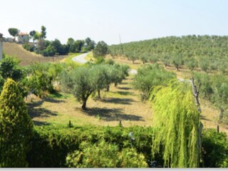 Holiday house Vasto Environment 27