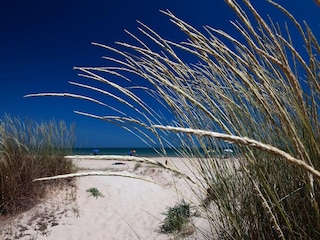 Holiday house Vasto Environment 21
