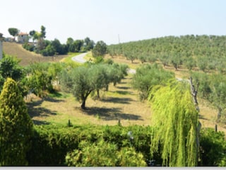 Vakantiehuis Vasto Omgeving 24