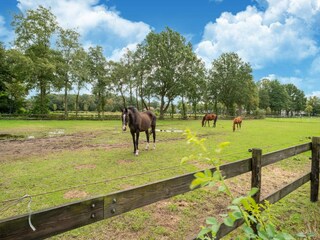 Vakantiehuis IJhorst Omgeving 36