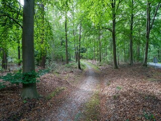 Holiday house IJhorst Environment 35