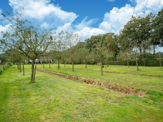 Vakantiehuis IJhorst Buitenaudio-opname 5