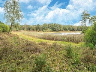 Vakantiehuis IJhorst Omgeving 35