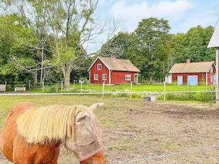 Ferienhaus Moholm Außenaufnahme 7