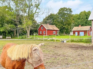 Vakantiehuis Moholm Buitenaudio-opname 15