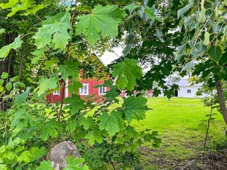 Ferienhaus Moholm Außenaufnahme 12