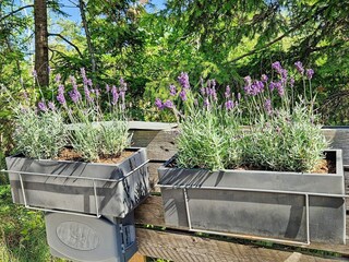 Vakantiehuis Europa Buitenaudio-opname 7