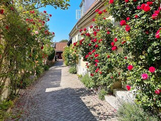 Vakantiehuis Europa  32