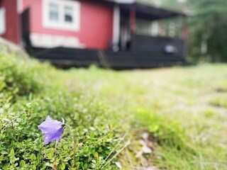 Vakantiehuis Värmdö Buitenaudio-opname 5
