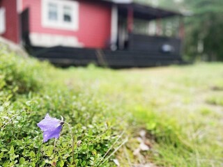 Vakantiehuis Värmdö Buitenaudio-opname 1