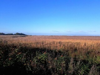 Vakantiehuis Stauning  8