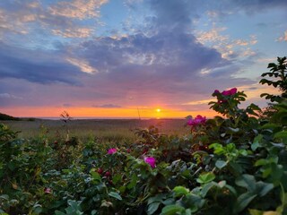 Vakantiehuis Stauning  9